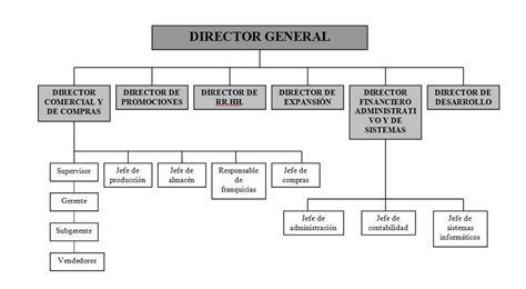 organigrama de gucci|Gucci brand structures.